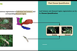 Plant Phenomics with Deep Learning