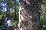 How I became a botanist in a world that had forgotten about plants