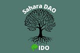 Sahara DAO IDO