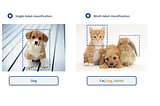 Building a Cats vs Dogs Image Classifier using TensorFlow and Keras