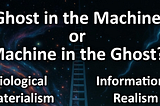 The Ghost in the Machine or the Machine in the Ghost?