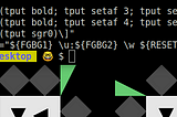 Bash Prompt PS1