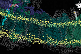 How are Protein Structures Refined?