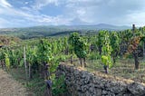 The Inexpensive Wines That Always Deliver, According to inHouse Sommeliers