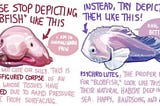 On Ugliness of Blobfish, Culpable Ignorance and God’s Guilt