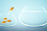 Moving from impact measurement to impact management