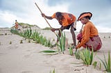 Food Security in Focus