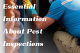 Essential Information About Pest Inspections You Must Be Aware Of