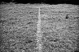 Lines made by walking: Richard Long and desire paths
