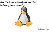 Popular 5 Linux Distributions that can induce your curiosity
