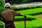 Agriculture in India