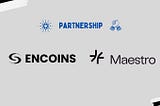 Encoins — Maestro: the ultimate relayer solution