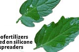 Biofertilizers based on silicone spreaders