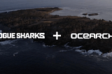 Rogue Sharks + OCEARCH