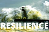 Making Resilient Companies by Making Resilient Employees