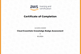 Leveling Up: AWS Cert as an Overkill of SWE Fellowship!