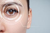Is There 20/20 Vision in Computer Vision? — innotescus