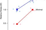 Adaptation and Infinity: Minimal Genome Evolution and Spirituality
