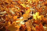 Autumn Day by Rainer Maria Rilke