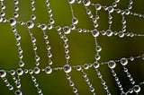 strings of pearls