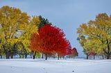 Most People Know Their Personality Type. Few Know Their Weather Type.