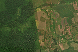Considerations for mapping reforested land with smallholder farmers
