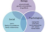 “Biopsychosocial model” By MrAnnoying — Own work, CC BY-SA 4.0, https://commons.wikimedia.org/w/index.php?curid=52520224