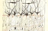 Reduction of Sensations to Brain-States