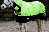 waterproof turnout rugs