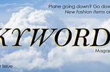 Skywords! My Article For an In-Flight Magazine