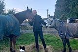 Sean Fagan and his horses: The simple joys of life