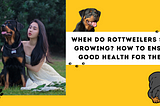 When Do Rottweilers Stop Growing? How To Ensure Good Health For Them?