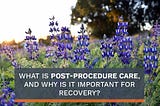 Understanding Post-Procedure Care for Vasectomy Recovery