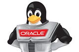 Setup Oracle Linux 7 using vagrant