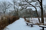 Where the Wintering Trees Welcome