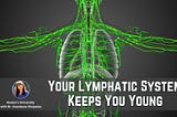 Protecting Your Body from Invasion- How to Keep Your Lymphatic System Healthy
