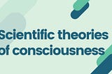What does a theory of consciousness even mean?