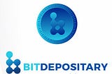 Bitdepositary ICO Market