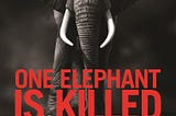 Stopping the Wildlife Trade is also about saving people: An open letter to all Vermonters