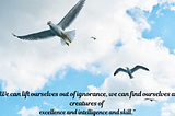 Extraordinary Success is Within Our Reach — A Seagull and a Cognitive Psychologist Show Us How