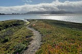 A picture of a trail surrounded by ice plants leading to the Bolinas Lagoon with low lying clouds over the water and refelction of the sun off the water.