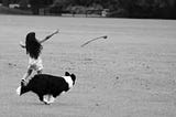 young girl playing ball with a dog in a field