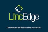 LincEdge — We’ve got your back end. A Case Study