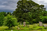 Experimenting with a Manual-focus Lens During a Moody Calm Before a Storm