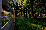 In the gloam, I lean against the split rail fence that borders the cemetery and ask “Where did all these webs come from?”