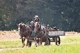 Team Work and Horse Training