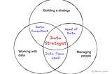 Would You Become a Data Strategist?