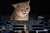 the probability cat