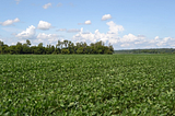 High-Resolution Soybean Yield Mapping