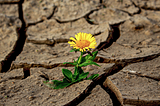 Water Crisis: Why Drinkable Water is Becoming Scarce on Earth
